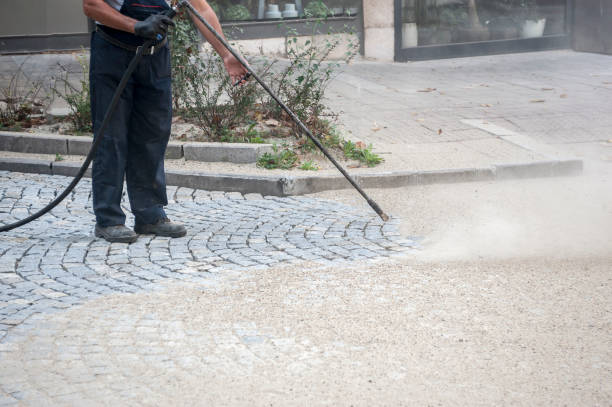 Best Soft Washing for Delicate Surfaces in Auxvasse, MO